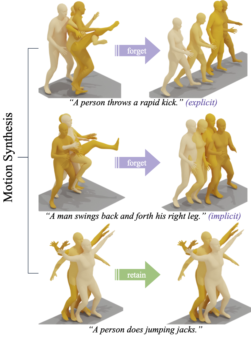 Pictorial of the model