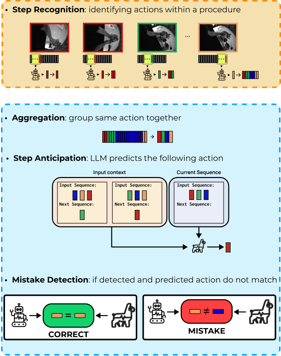 Pictorial of the model